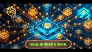 socolive hoạt động như thế nào