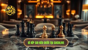 Khi nào nên theo cửa dưới? Kinh nghiệm soi kèo "ngược dòng" thành công